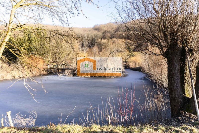 Langa Sighisoara,  Vedere la Padure, si iazuri proprii, 1,8ha teren, ROI9%