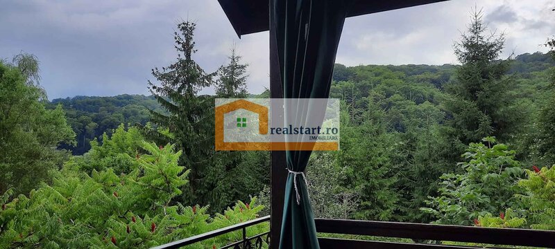 Langa Sighisoara,  Vedere la Padure, si iazuri proprii, 1,8ha teren, ROI9%
