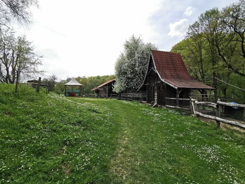 Sighisoara, oportunitate, restaurant cu mini pensiune 800mp, 1,8ha teren, Via Transilvanica